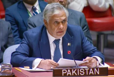 dpm and fm ishaq dar addressing the unsc session on palestine in new york photo mofa