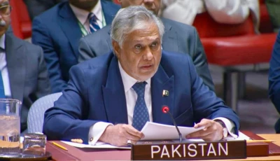 dpm and fm ishaq dar addressing the unsc session on palestine in new york photo mofa