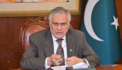 deputy prime minister and foreign minister ishaq dar photo x file