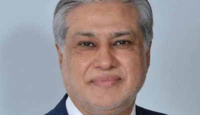 deputy prime minister and foreign minister ishaq dar photo app
