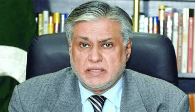 ishaq dar urges efforts to promote it industry