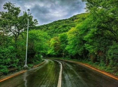 islamabad s forests under assault