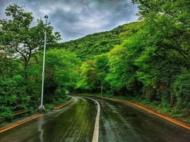 Islamabad's forests under assault