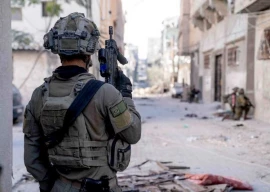 ngos urge ceasefire in lebanon amid escalating israel hezbollah conflict