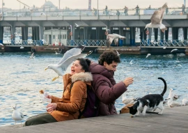 istanbul encyclopedia review headscarves or hair down in search of self