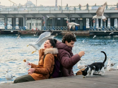 istanbul encyclopedia review headscarves or hair down in search of self