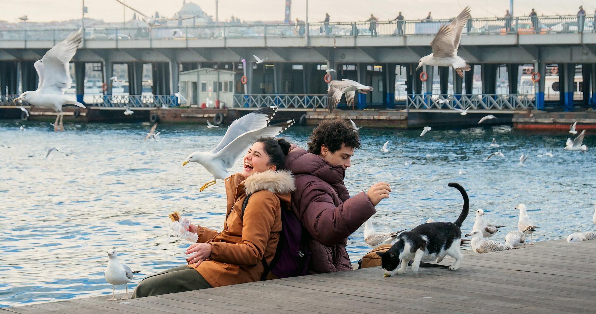 headscarves or hair down in search of self   tribune.com.pk