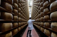 a quality inspector taps wheels of parmigiano reggiano cheese for hidden flaws at credito emiliano s cheese backed lending facility where recent heatwaves have pushed daily power use up about 30 in montecavolo di quattro castella italy july 6 2026 photo reuters a quality inspector taps wheels of parmigiano reggiano cheese for hidden flaws at credito emiliano s cheese backed lending facility where recent heatwaves have pushed daily power use up about 30 in montecavolo di quattro castella italy july 6 2026 photo reuters