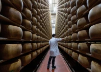 a quality inspector taps wheels of parmigiano reggiano cheese for hidden flaws at credito emiliano s cheese backed lending facility where recent heatwaves have pushed daily power use up about 30 in montecavolo di quattro castella italy july 6 2026 photo reuters a quality inspector taps wheels of parmigiano reggiano cheese for hidden flaws at credito emiliano s cheese backed lending facility where recent heatwaves have pushed daily power use up about 30 in montecavolo di quattro castella italy july 6 2026 photo reuters