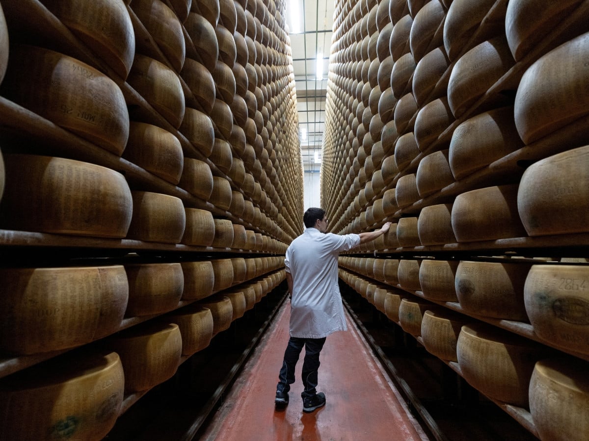 Extreme heat threatens Italy's Parmigiano Reggiano heartland