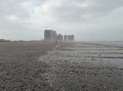explainer why do thousands of seashells wash up on karachi s shores every monsoon explainer why do thousands of seashells wash up on karachi s shores every monsoon