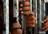 njpmc orders fast tracking of utp trials