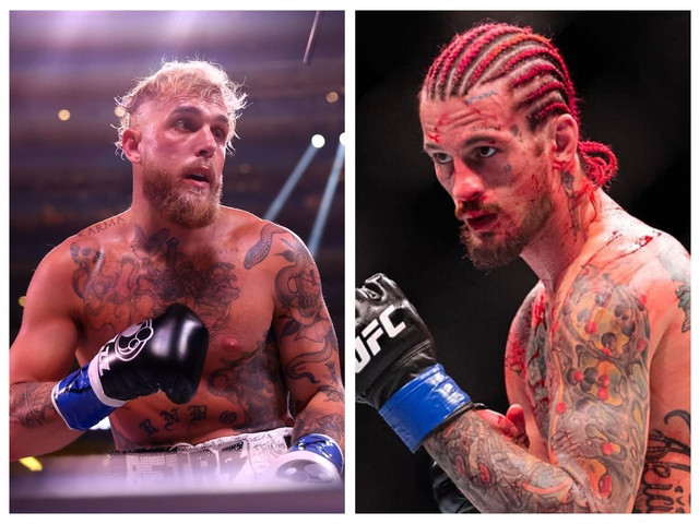 jake paul seeks mma debut challenges sean o malley for ufc 303 jake paul seeks mma debut challenges sean o malley for ufc 303