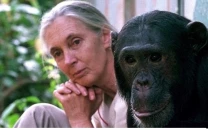 a love story with the wild a love story with the wild