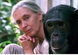 a love story with the wild