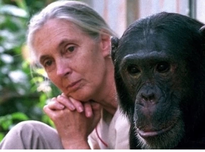 a love story with the wild