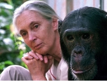 a love story with the wild