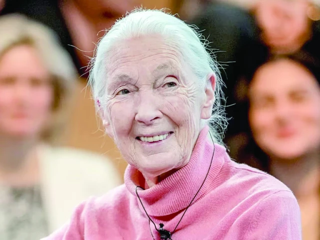 jane goodall