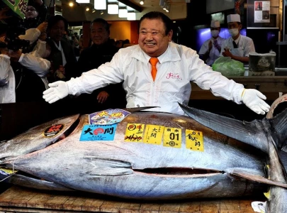 tuna king pays record 3 2m for bluefin