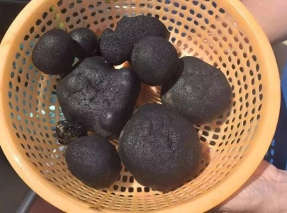 japan s 26 billion deep sea discovery sparks serious environmental concerns