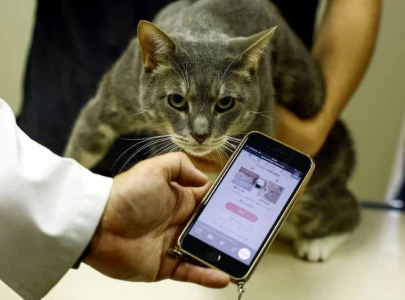 purrfectly healthy japan uses ai to monitor feline wellbeing purrfectly healthy japan uses ai to monitor feline wellbeing