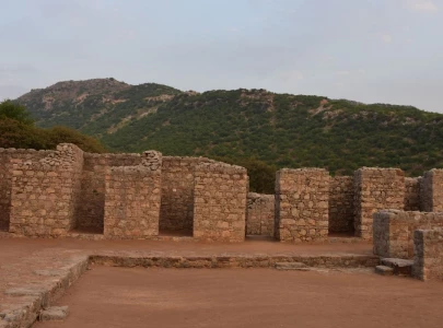 julian stupa inspires us delegates julian stupa inspires us delegates