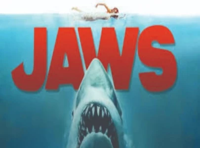 jaws exhibit marks 50 years