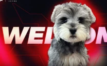 jd gaming introduces team pet duobao as league of legends fans react