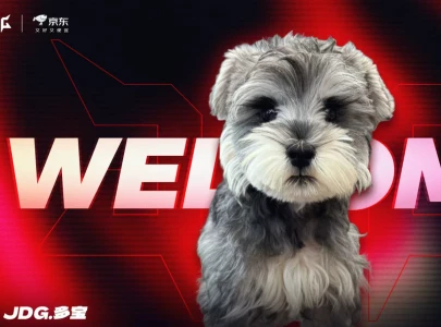 jd gaming introduces team pet duobao as league of legends fans react