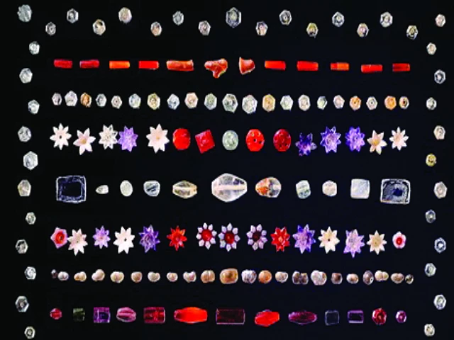 critics have slammed the sale of the collection photo file critics have slammed the sale of the collection photo file