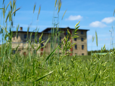 my feudal over lords