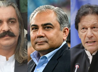 mohsin naqvi made more efforts than anyone to secure imran khan s release gandapur claims