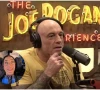 let s not minimize this joe rogan s sarcastic take on katy perry and blue origin astronauts let s not minimize this joe rogan s sarcastic take on katy perry and blue origin astronauts