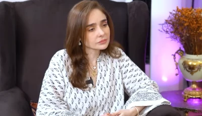 photo juggan kazim sat down with dr areej zulfiqar for an interview photo screengrab