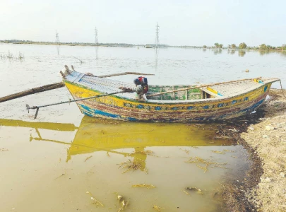july wetter compared to last year july wetter compared to last year