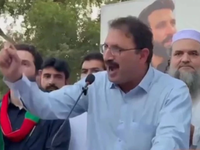 'We will turn Islamabad into Somnath,' PTI’s Junaid warns govt against use of force ahead of Sept 27 protest