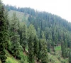 forest owners deserve compensation