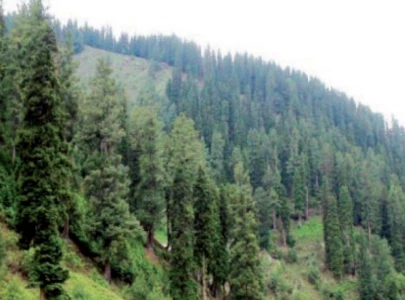 forest owners deserve compensation