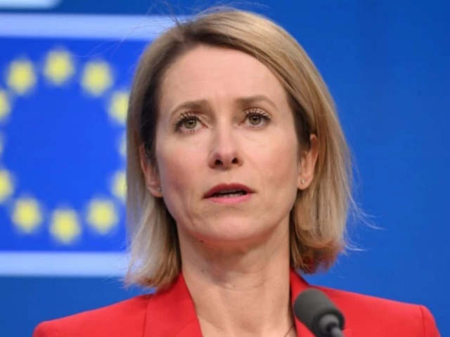 European lawmakers call on EU to ban trade with illegal Israeli settlements
