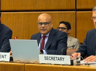 pakistan s pr to un in vienna elected unido president pakistan s pr to un in vienna elected unido president