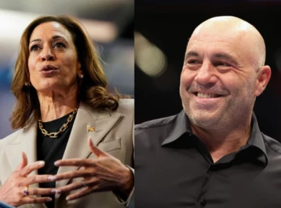 kamala harris could join joe rogan podcast to gain support from male and black voters
