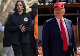 kamala harris criticized for 750 aid to hurricane helene victims as trump raises millions