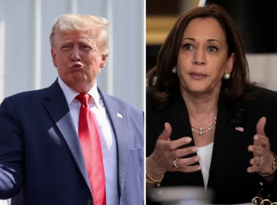 kamalacrash goes viral as trump blames harris for market downturn