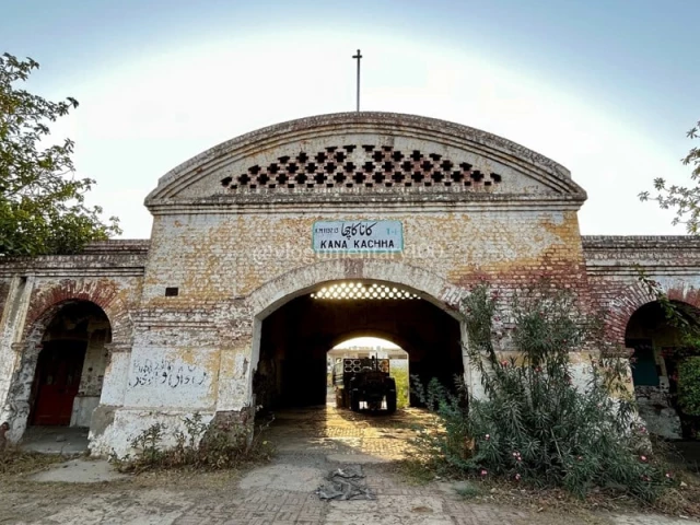 tribune