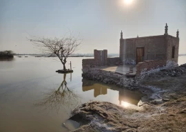 the agony of sindh s flooded lands
