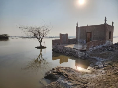 the agony of sindh s flooded lands