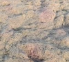 karachi wakes to a sea born stench