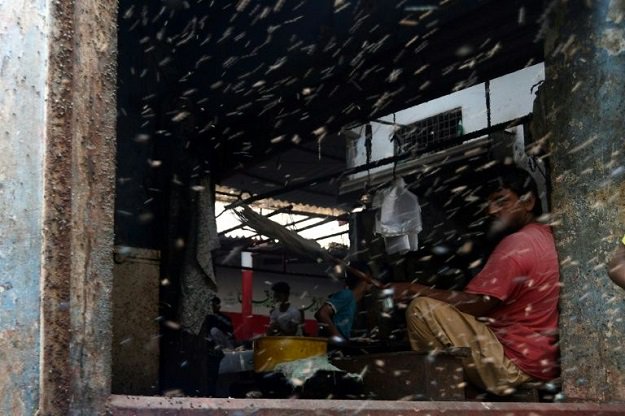 Illnesses are on the rise in Karachi because of flies and mosquitoes, according to a health activist (Photo: AFP)