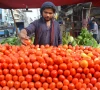 a vendor arranges tomatoes on his pushcart the kitchen essential was selling on pushcarts for rs400 450 and in supermarkets at rs550 580 due to short supply in the market photo jalal qureshi express a vendor arranges tomatoes on his pushcart the kitchen essential was selling on pushcarts for rs400 450 and in supermarkets at rs550 580 due to short supply in the market photo jalal qureshi express