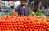 a vendor arranges tomatoes on his pushcart the kitchen essential was selling on pushcarts for rs400 450 and in supermarkets at rs550 580 due to short supply in the market photo jalal qureshi express